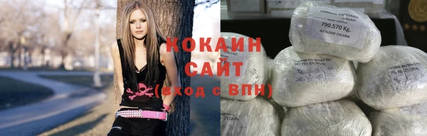 твердый Нягань