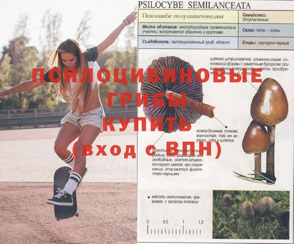 спайс Осташков