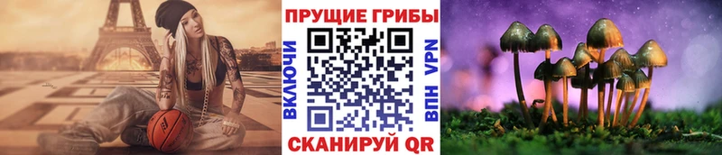 Галлюциногенные грибы Psilocybine cubensis Нижние Серги